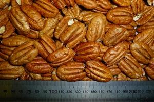 Pecan Kernel - Special Reserve Halves