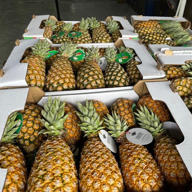 Sugarloaf Pineapple