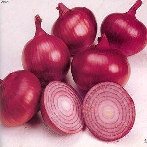 Red Onions / Golden Onions