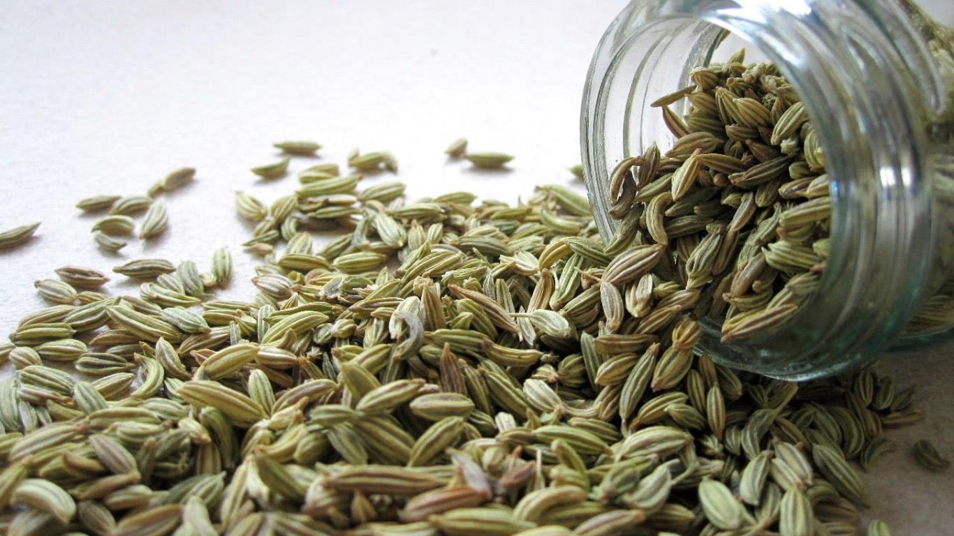 Fennel