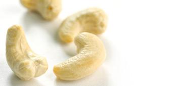 Cashew