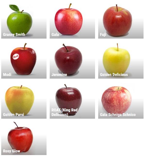 Apples