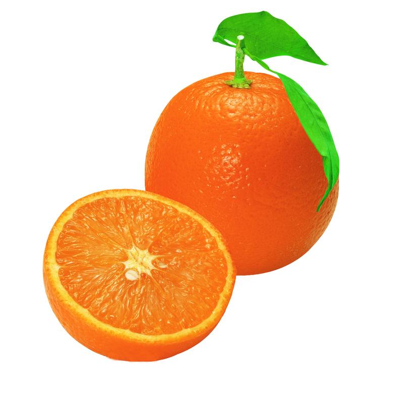 Navel and Valencia Oranges From South Africa