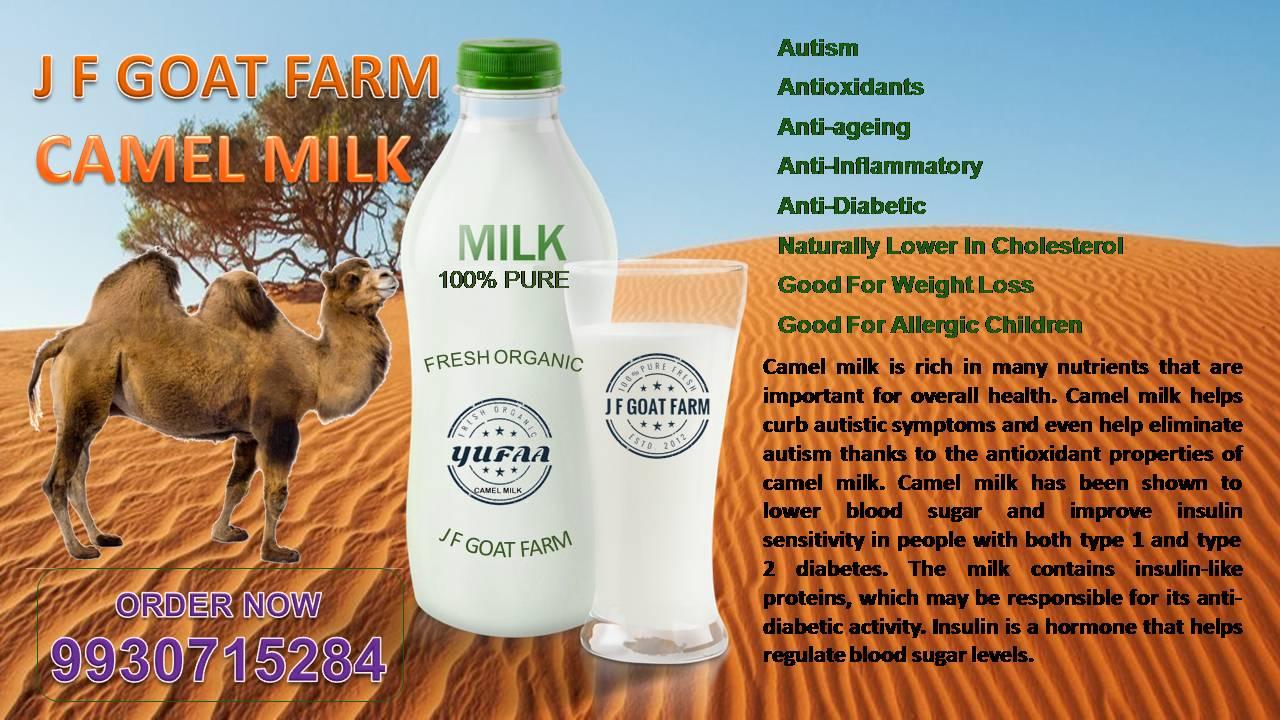 Camel Milk