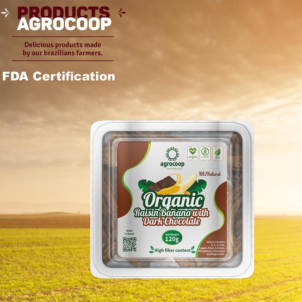 Organic Raisin Banana with Dark Chocolate