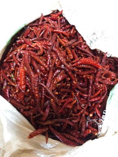 Dry Red Chilli