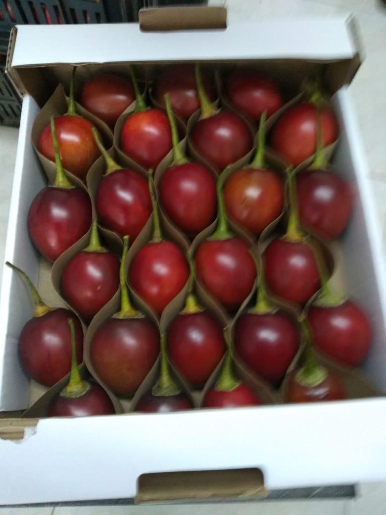 Tamarillo o Tomate de arbol