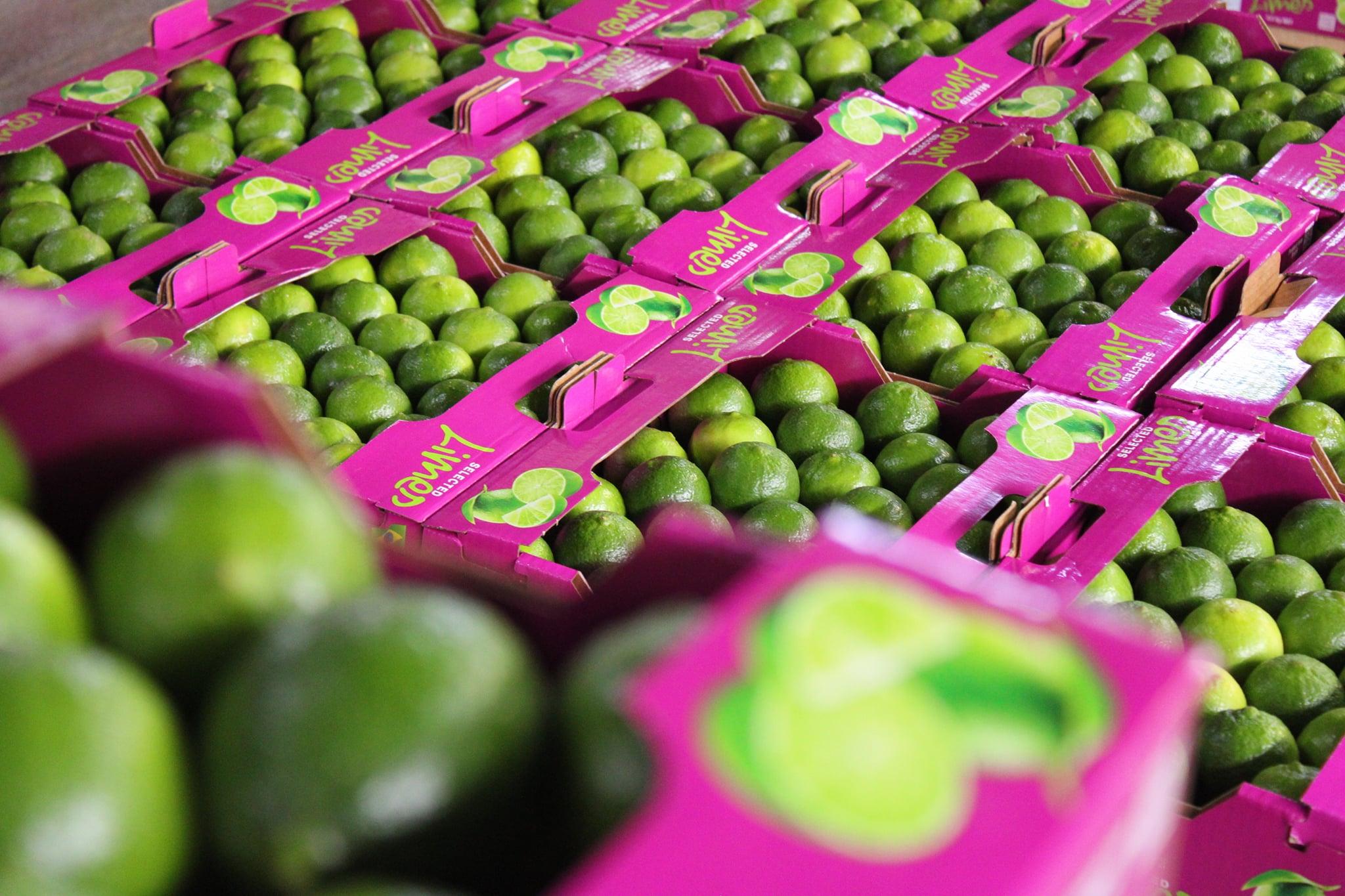 Fresh Lime