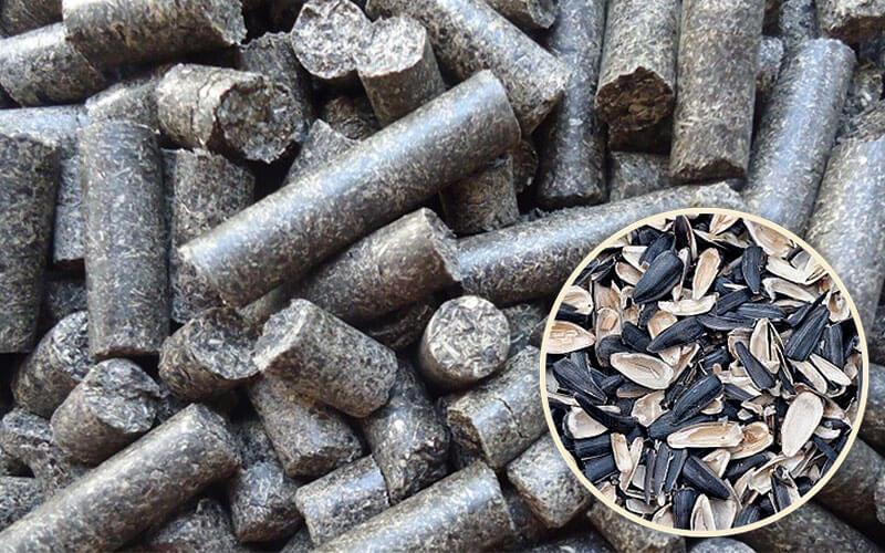 Pellets or fuel pellets from sunflower husk