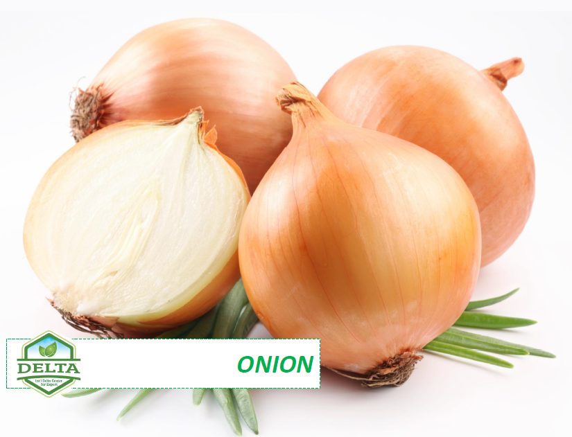 Onion