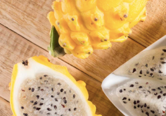 Dragon Fruit