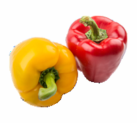 Capsicum