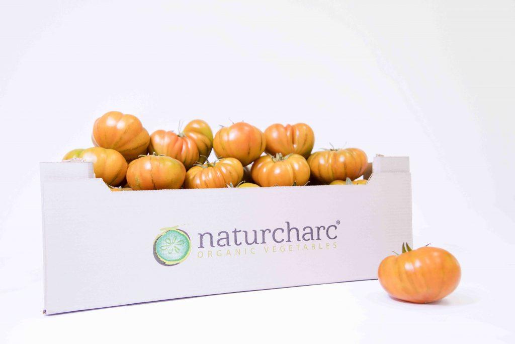 Fresh Tomato