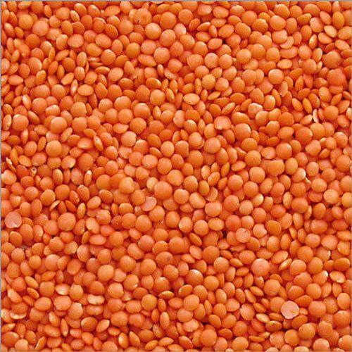 Red Lentils