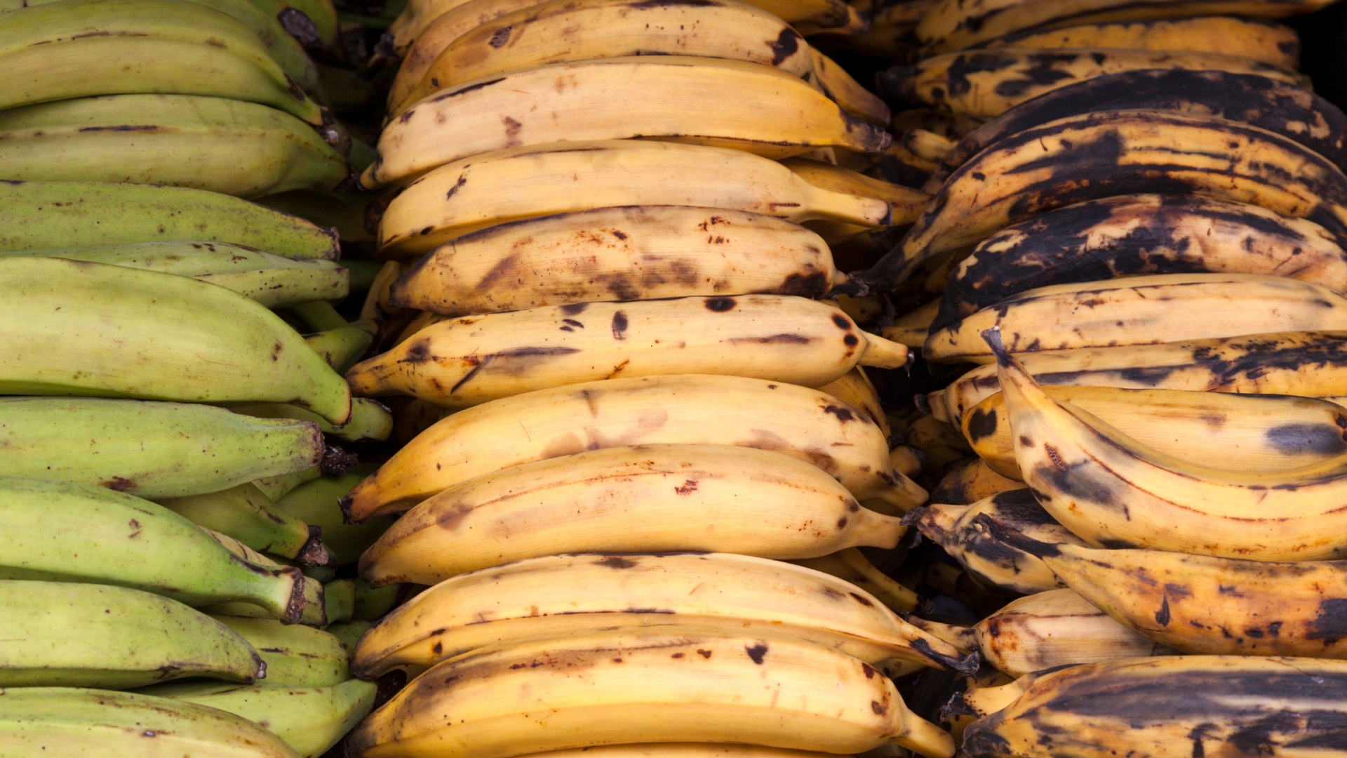 Fresh Plantains