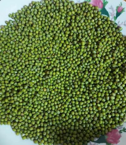 Green Mung Beans