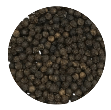 Vietnam Organic Black Pepper [Quang Tri Pepper ] Strong taste & Ethically sourced