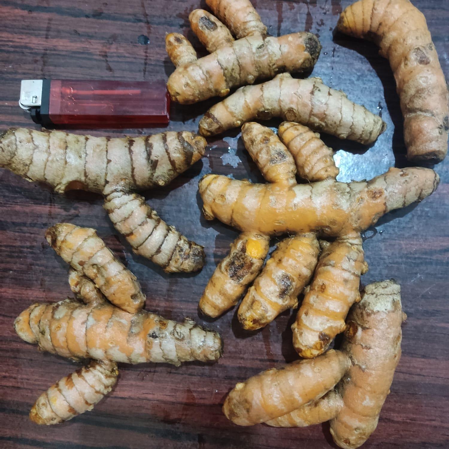 Fresh Tumeric