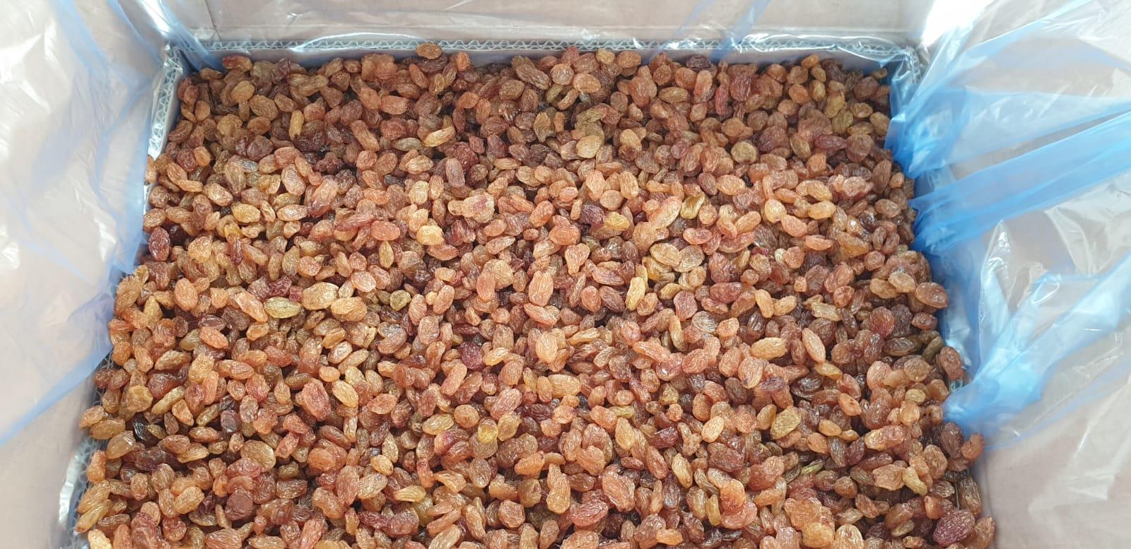 Sultana Raisins