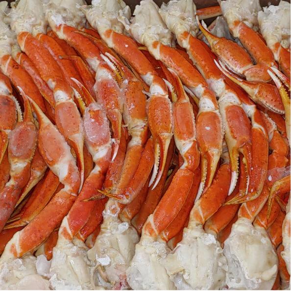 Snow Crab