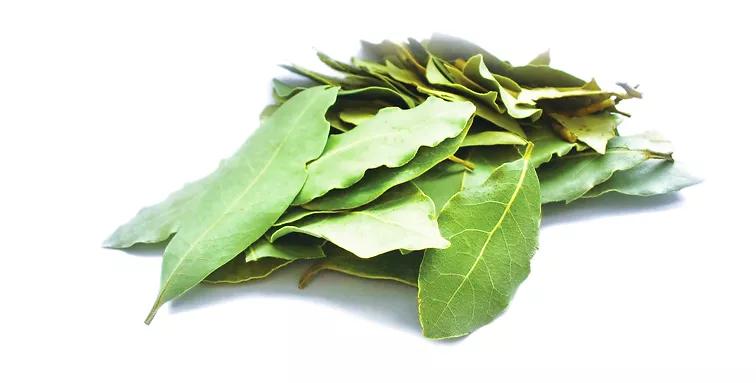 Bay Leaves