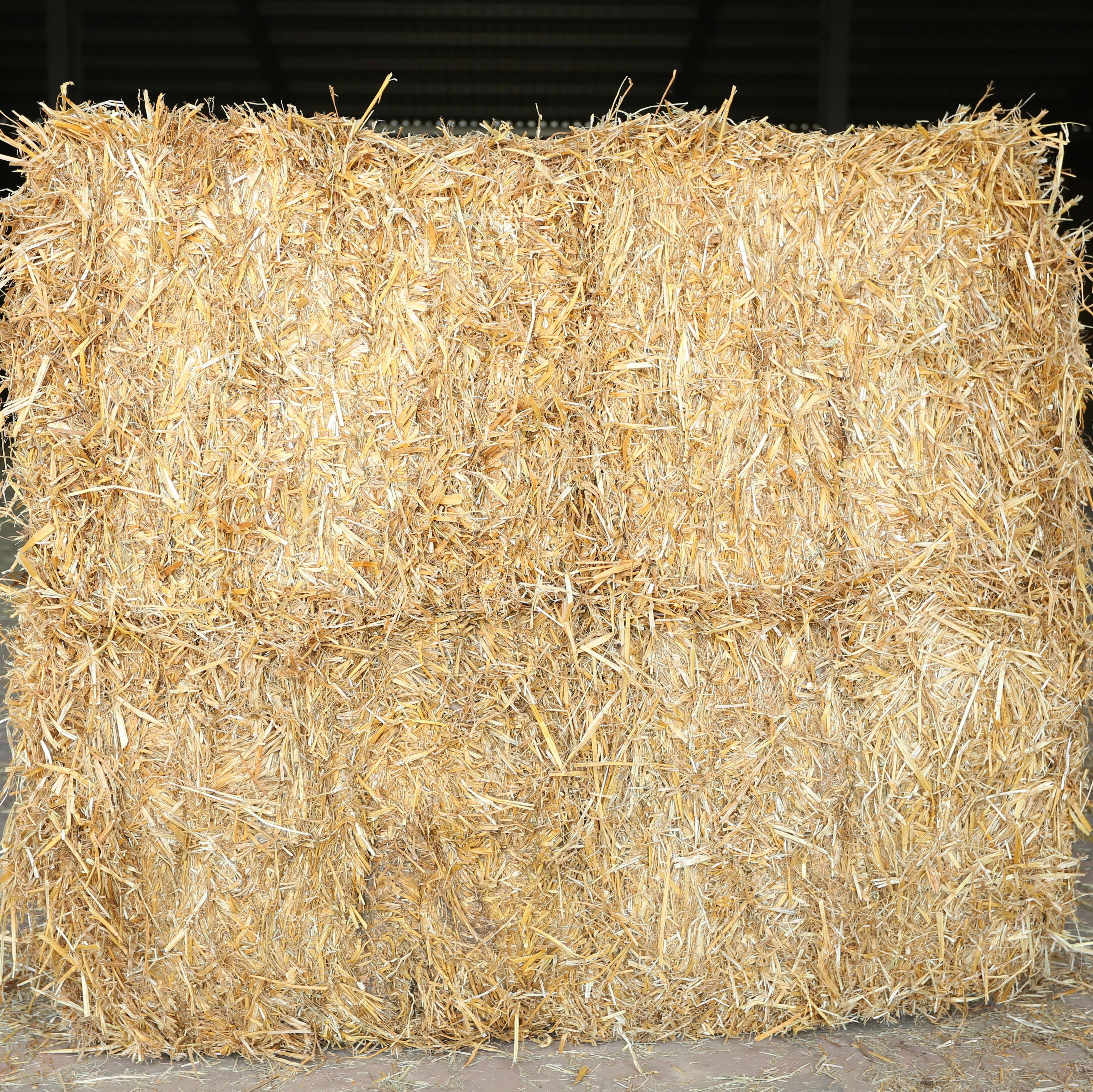 Wheat straw Hay For Animal