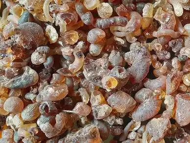 Gum Arabic