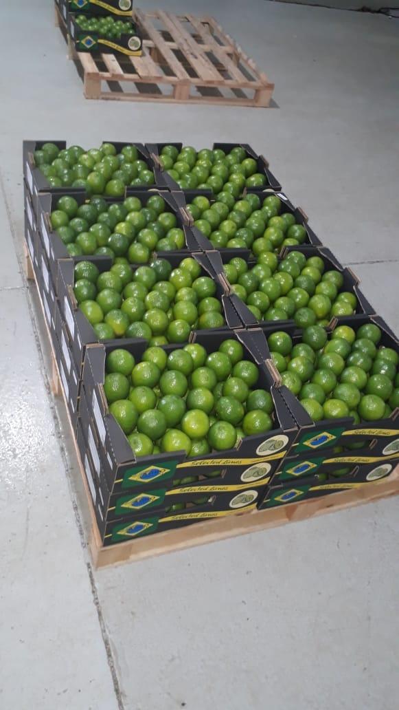 Fresh Limes