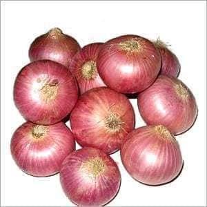 Pakistan Onion