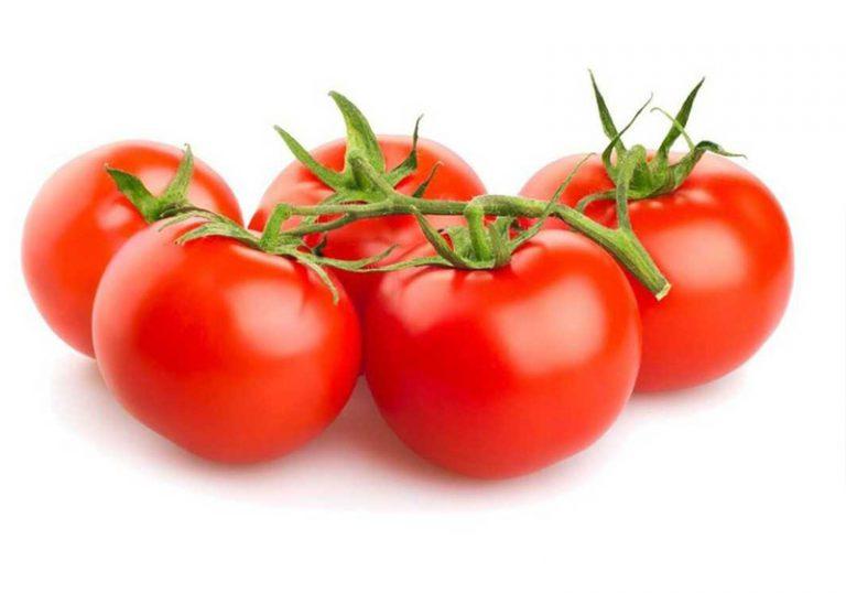 Branch Tomato
