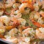 Cooked & Blanched Shrimp