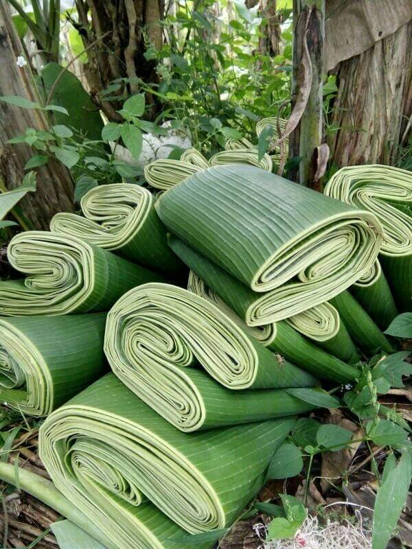 Fresh Banana Leaves
