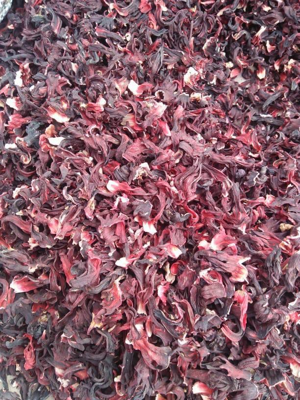 DRIED HIBISCUS FLOWER