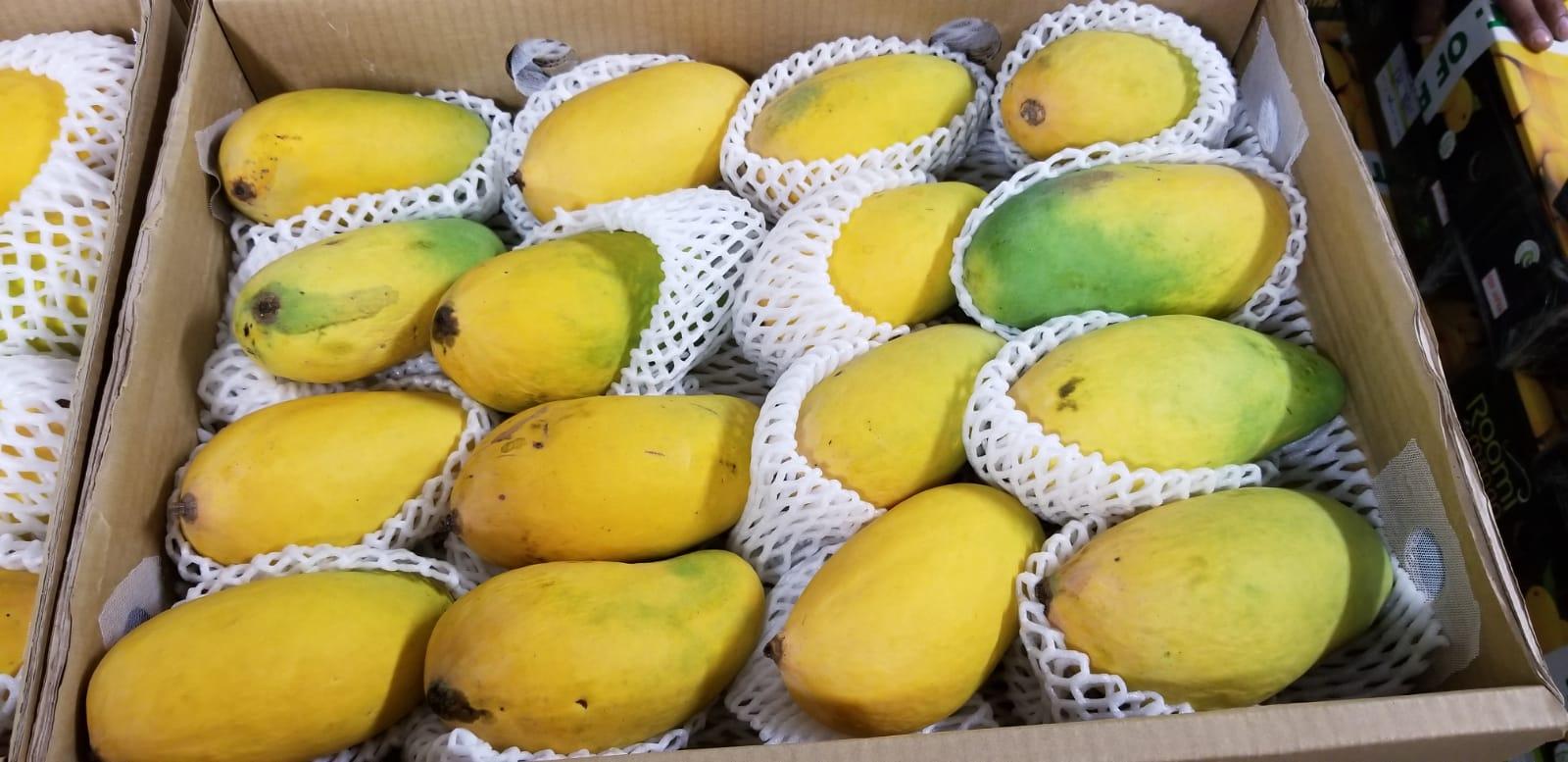 Fresh Mango