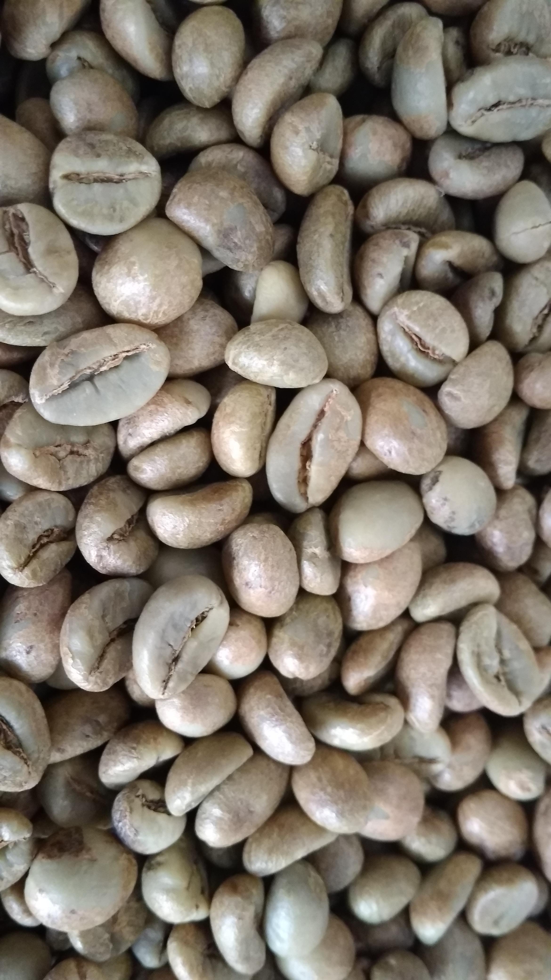 Robusta Green Beans Coffee