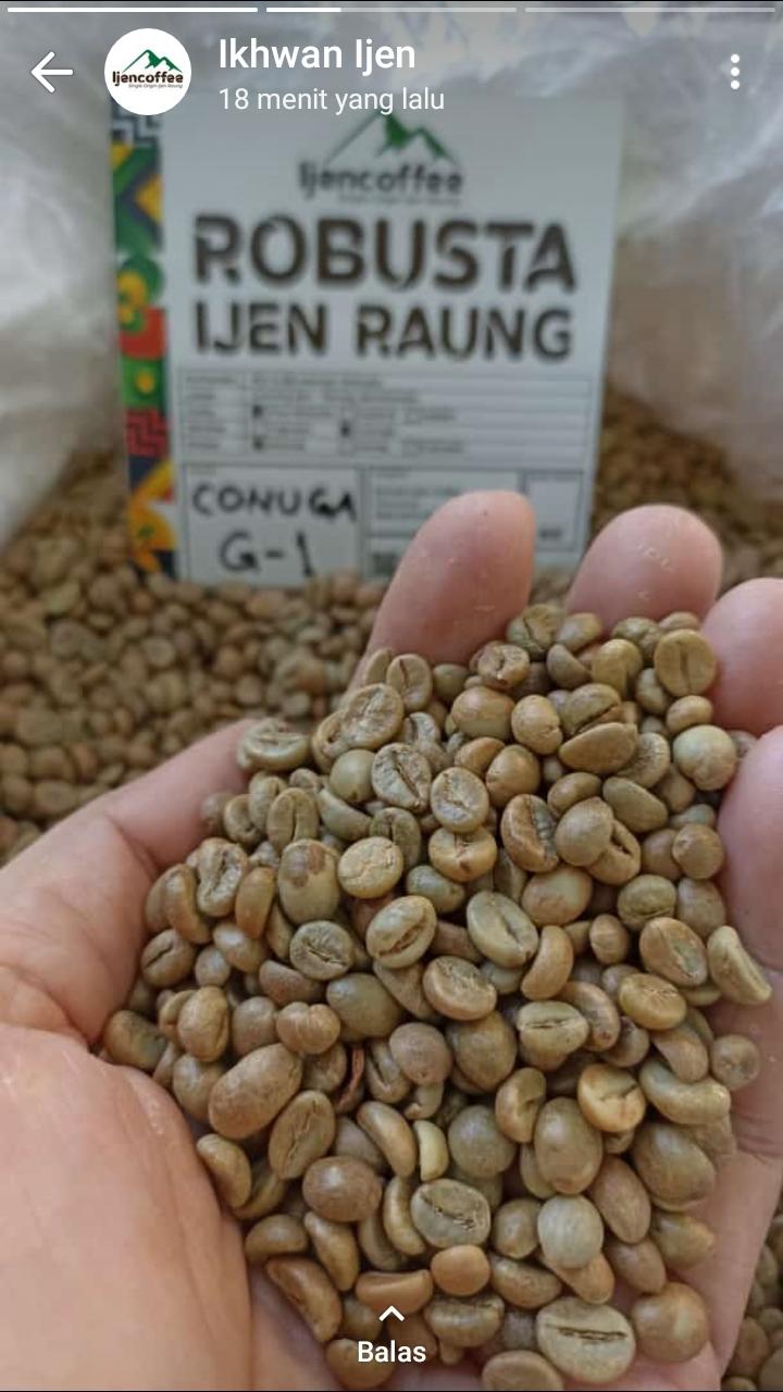 Green Beans/Roasted Coffee Robusta / Arabica Indonesia