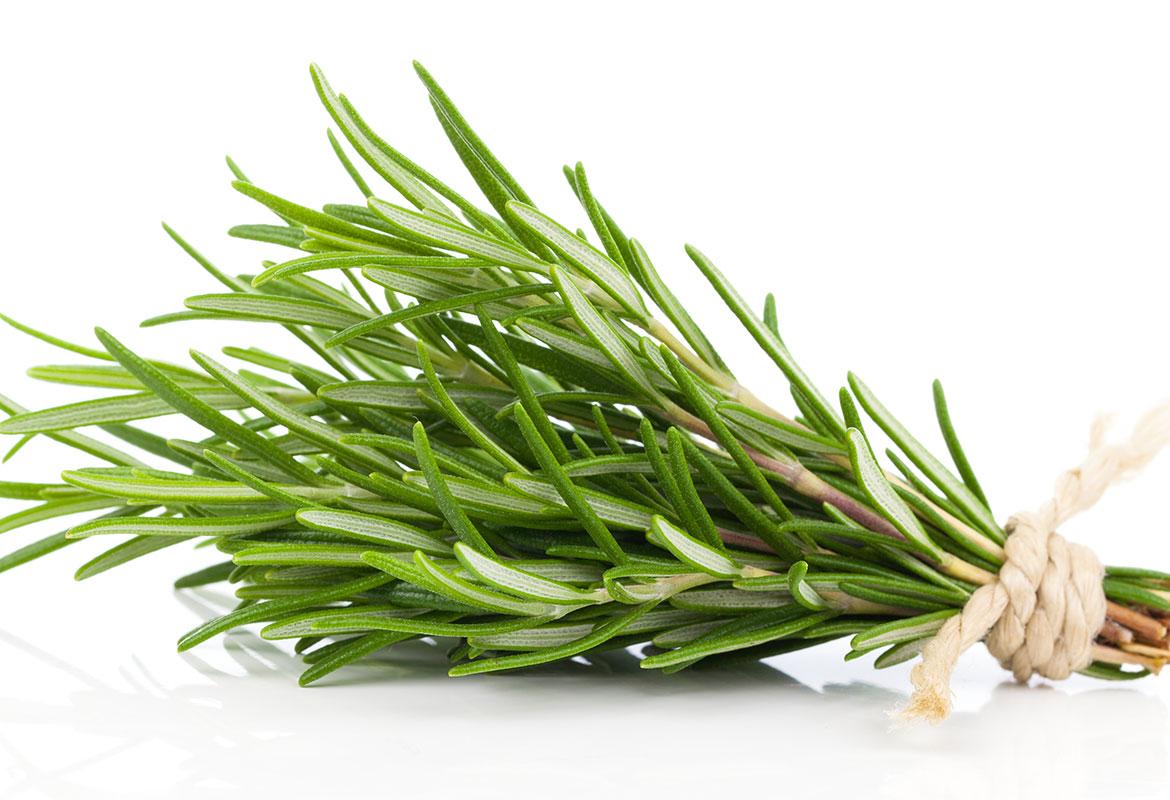 Rosemary