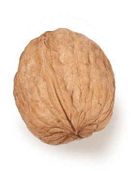 Walnut- In Shell
