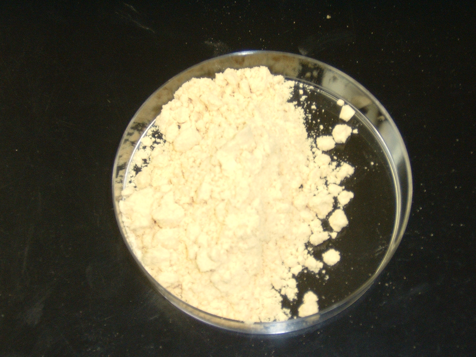 Yellow Mustard Powder