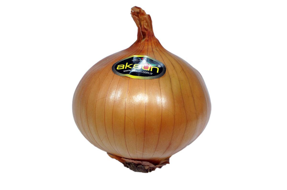 Onion