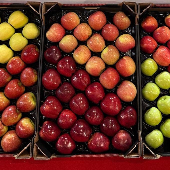 Fresh Apple from Moldova