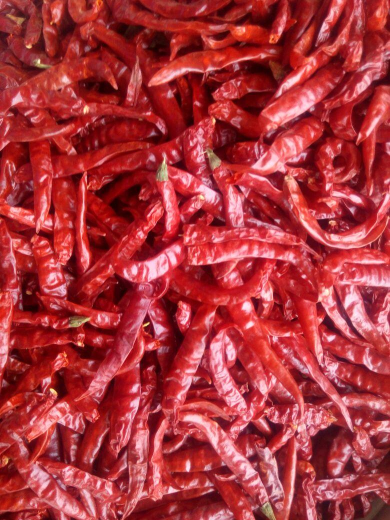 Dry Red Chillies