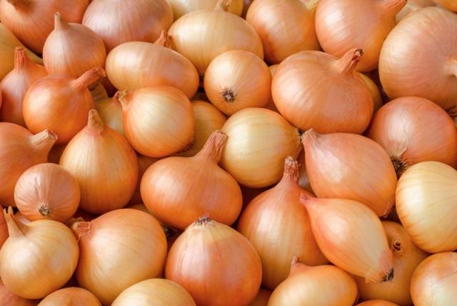 Fresh Onions