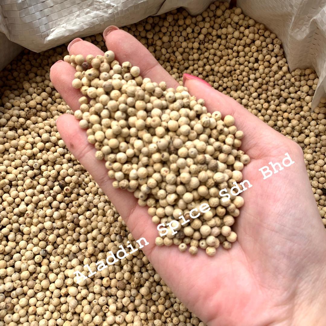 Best Quality Sarawak White Peppercorn Berries