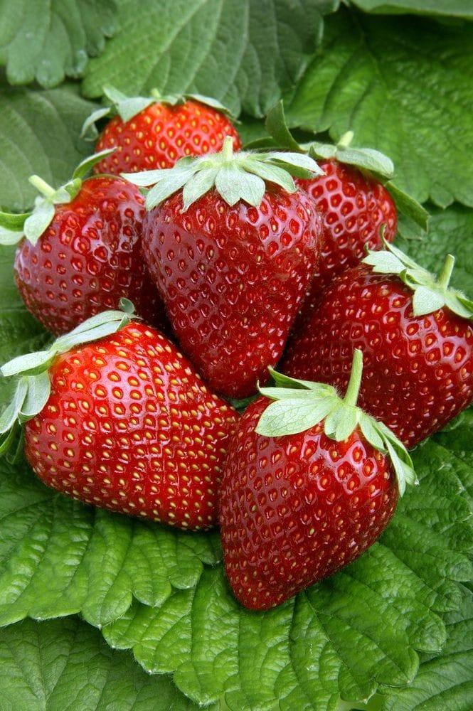 Strawberries