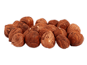 organic dried apricots