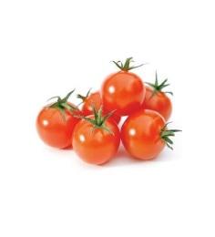 FRESH TOMATO