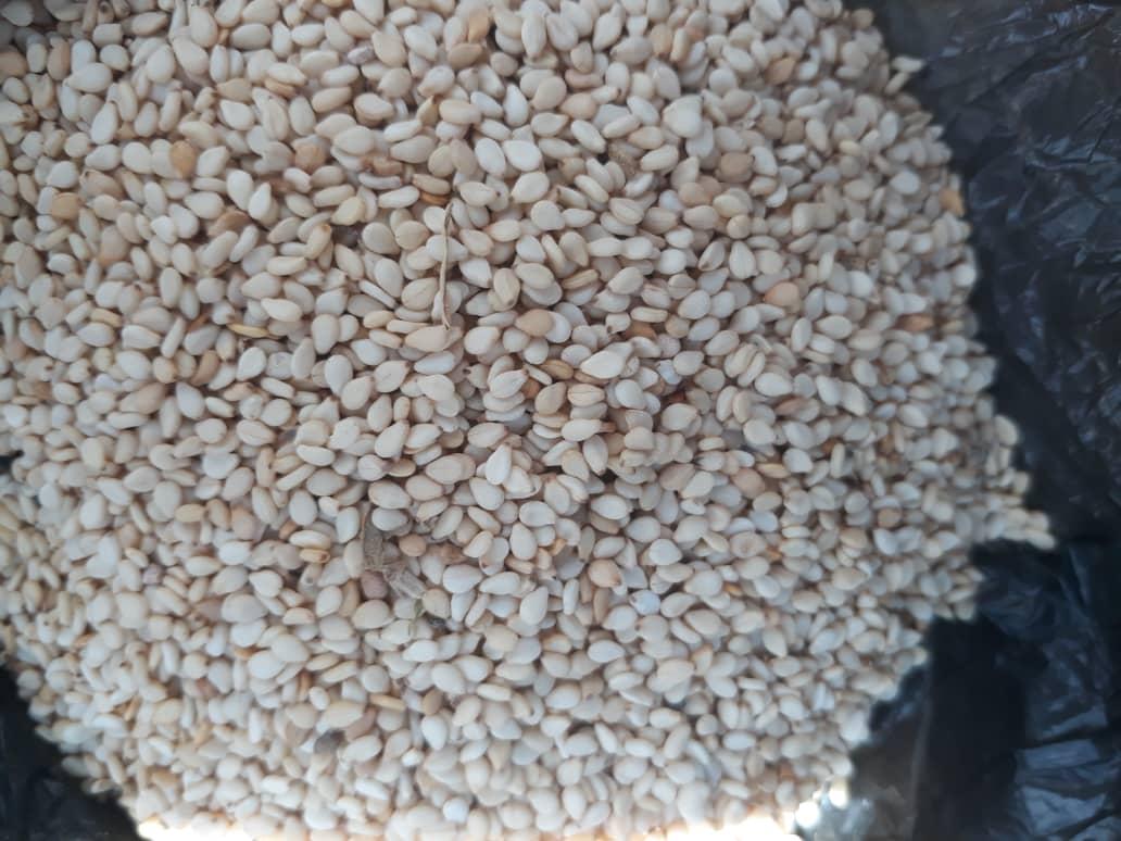 White  Sesame