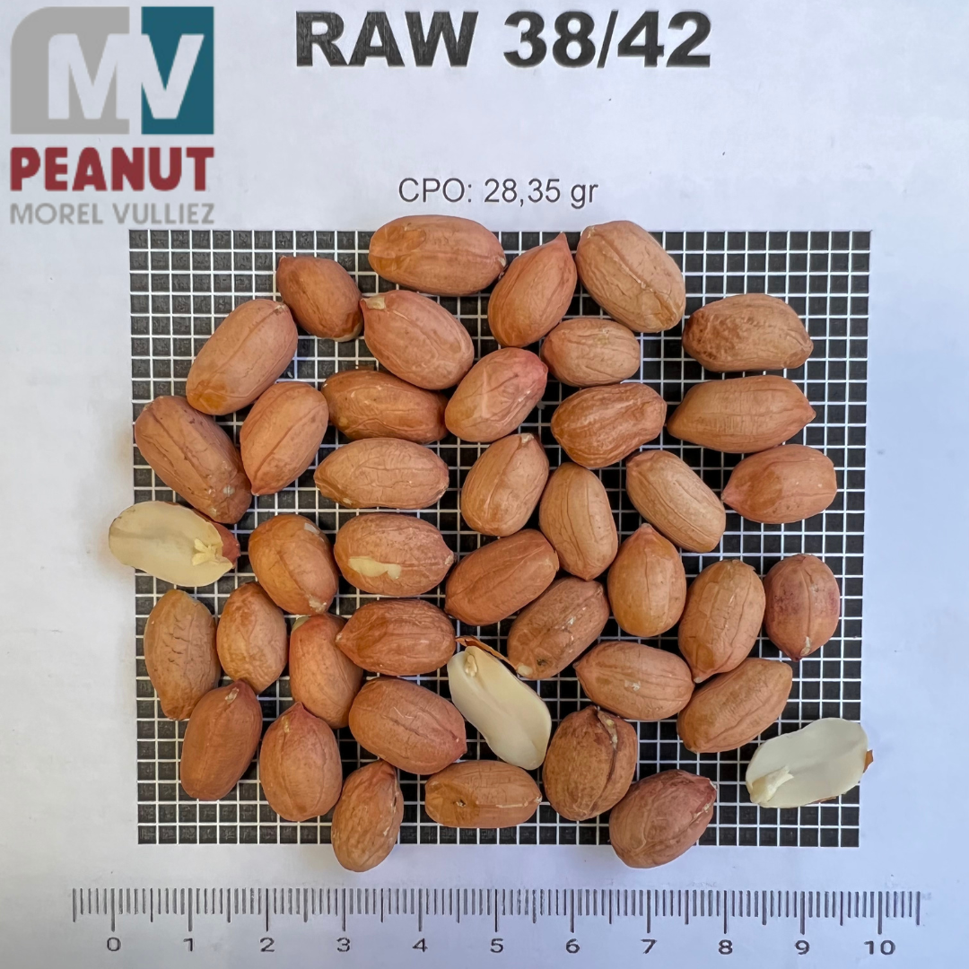 RAW 38/42 40/50 50/60