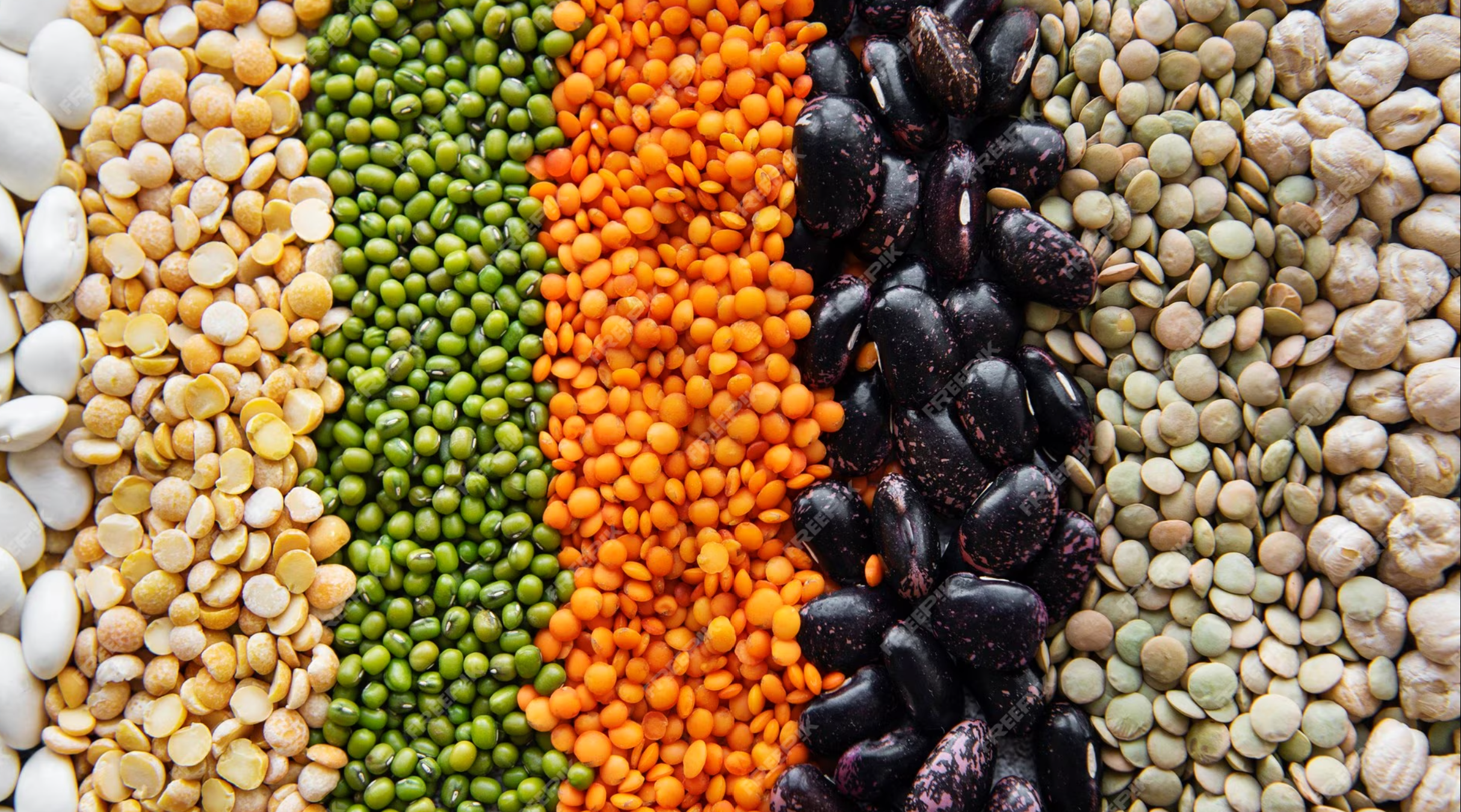 Soybeans,  Red, white and black Kidney Beans